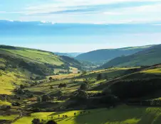 Countryside