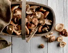 mushrooms