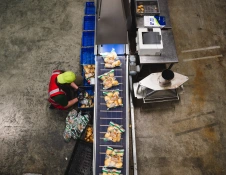 Puffin produce production line