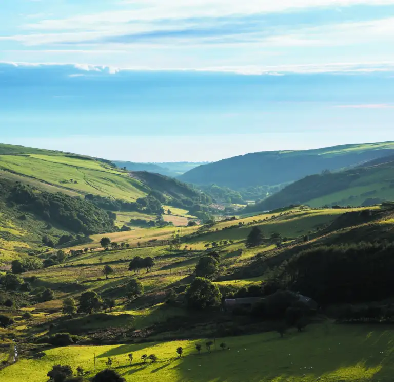 Countryside