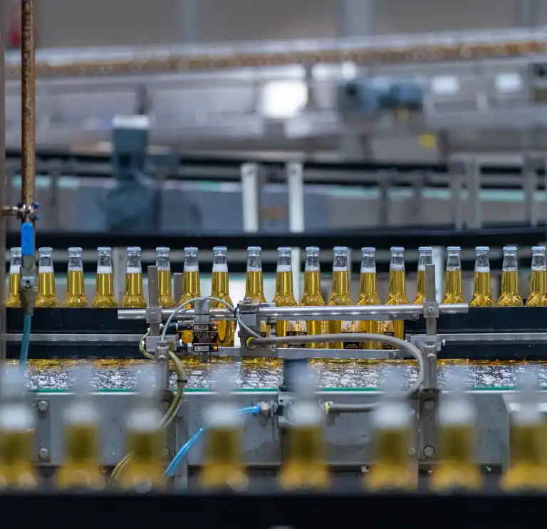 bottles in factory