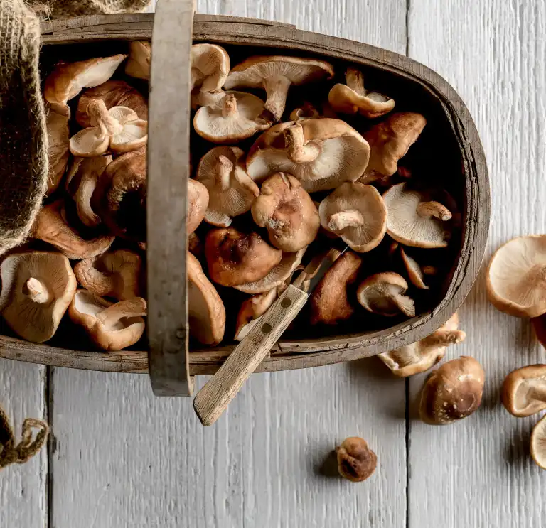 mushrooms