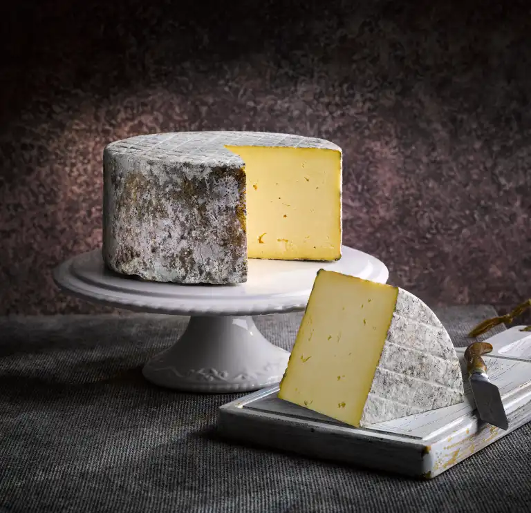 cheese