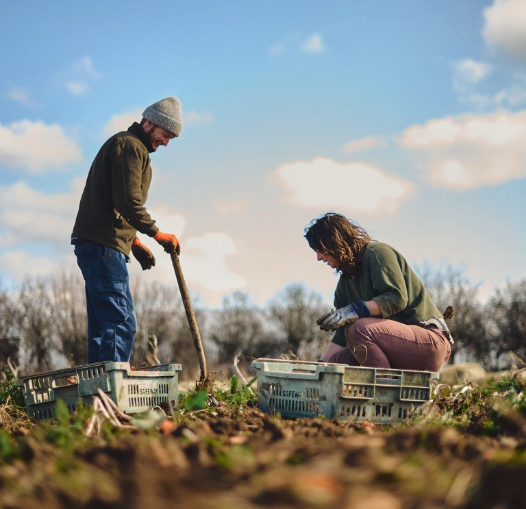 People gardening in allotment