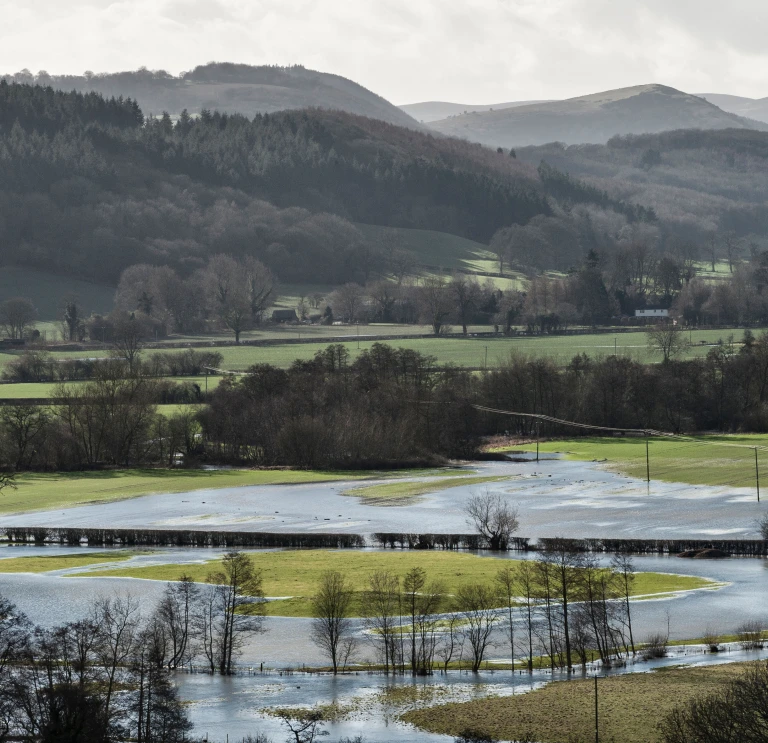 Flooded agricultural fields