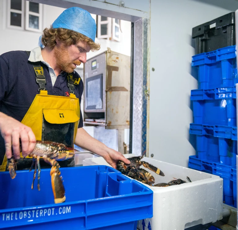 Lobster Pot manufacturing